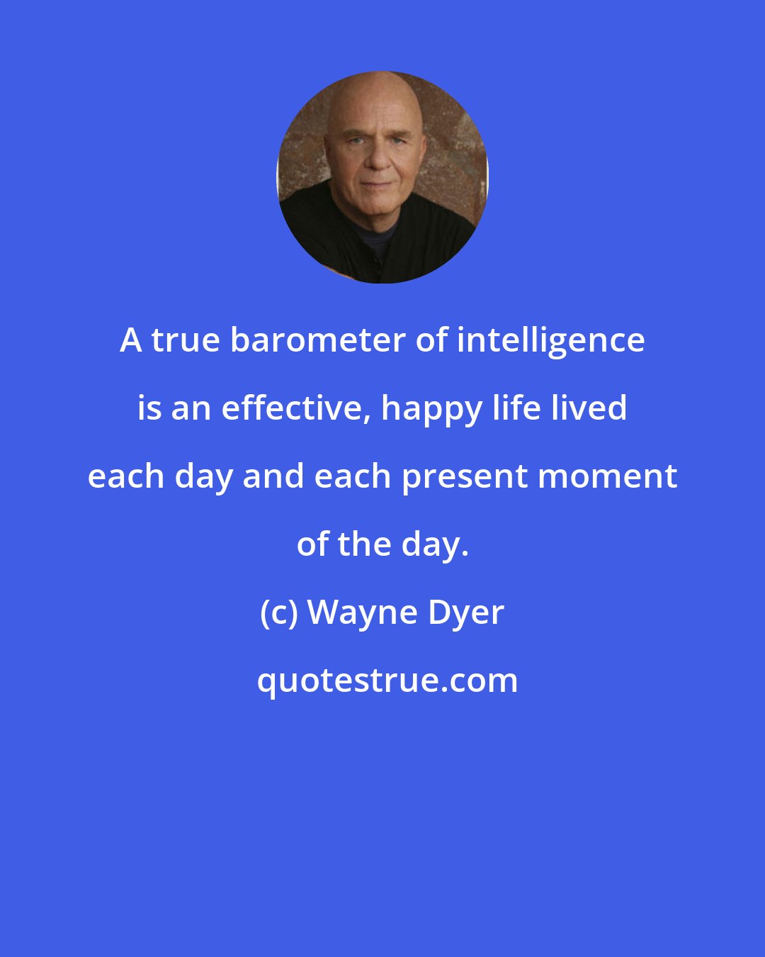 Wayne Dyer: A true barometer of intelligence is an effective, happy life lived each day and each present moment of the day.