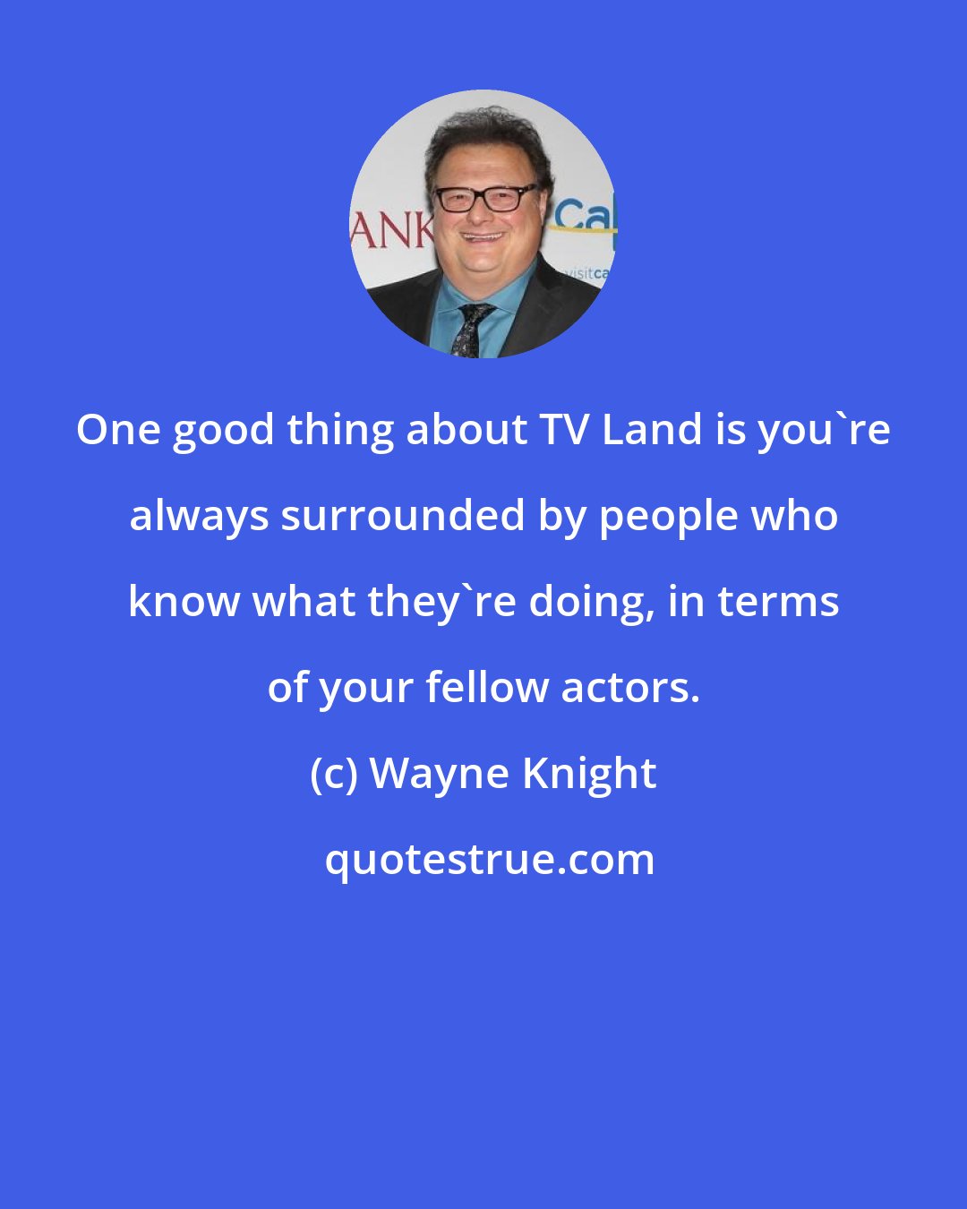 Wayne Knight: One good thing about TV Land is you're always surrounded by people who know what they're doing, in terms of your fellow actors.