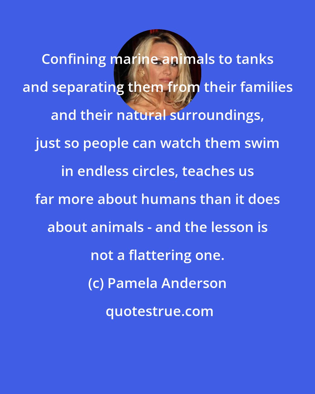 Pamela Anderson: Confining marine animals to tanks and separating them from their families and their natural surroundings, just so people can watch them swim in endless circles, teaches us far more about humans than it does about animals - and the lesson is not a flattering one.