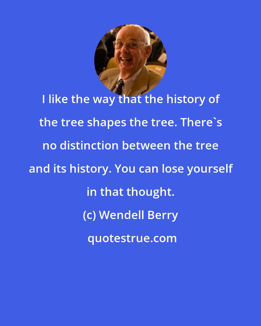 Wendell Berry: I like the way that the history of the tree shapes the tree. There's no distinction between the tree and its history. You can lose yourself in that thought.