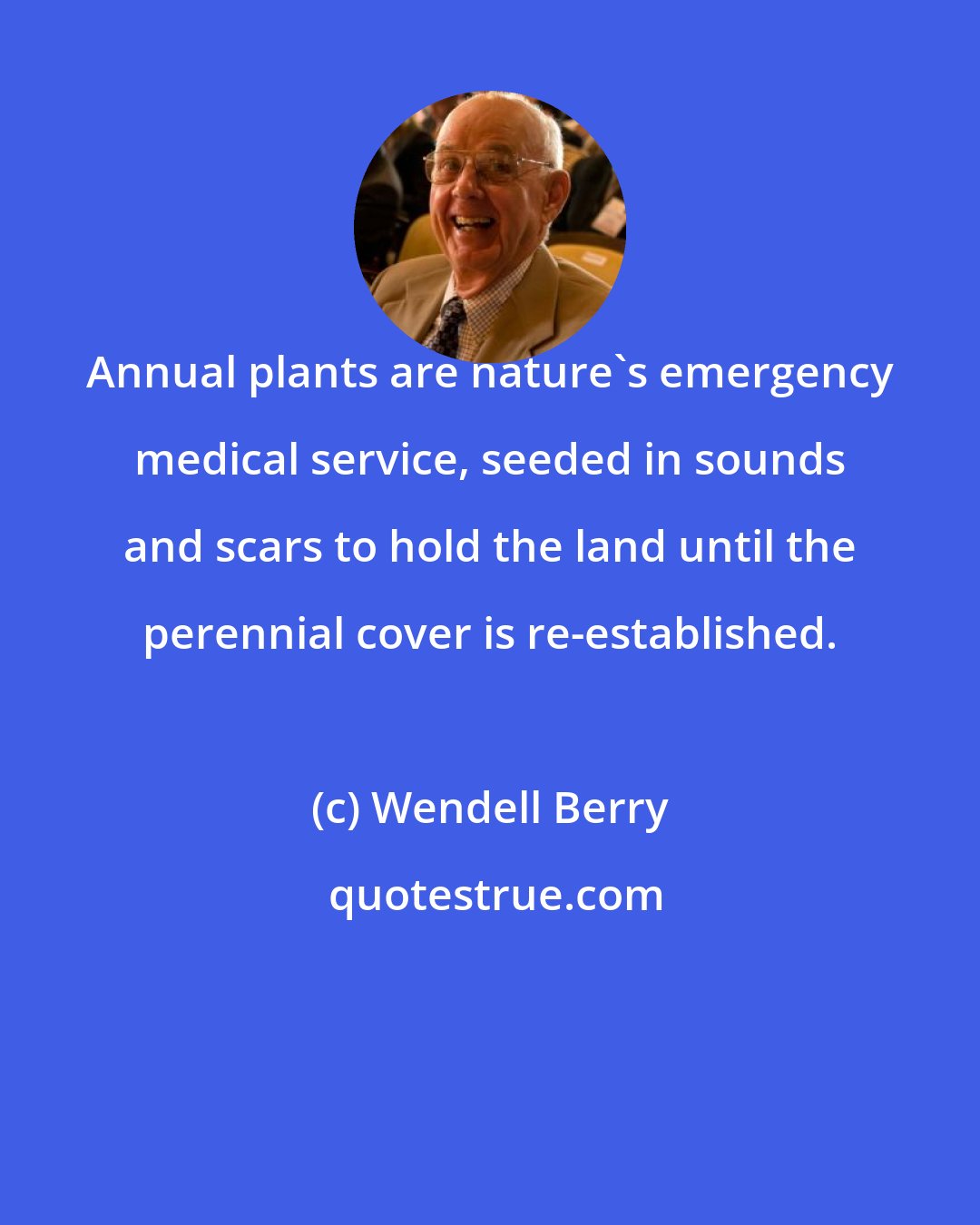 Wendell Berry: Annual plants are nature's emergency medical service, seeded in sounds and scars to hold the land until the perennial cover is re-established.