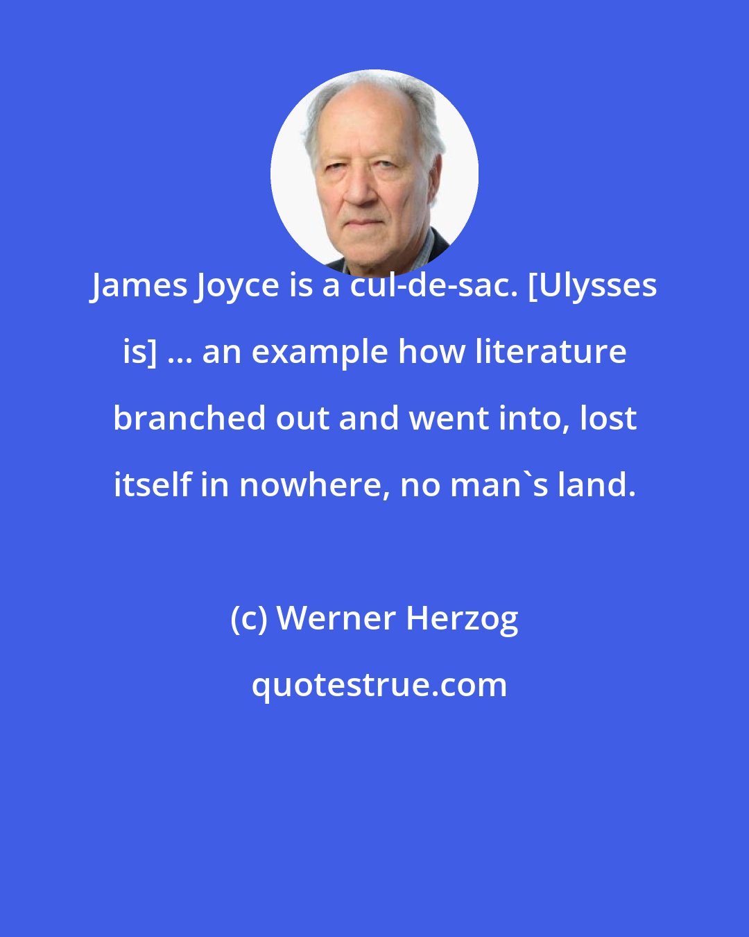 Werner Herzog: James Joyce is a cul-de-sac. [Ulysses is] ... an example how literature branched out and went into, lost itself in nowhere, no man's land.