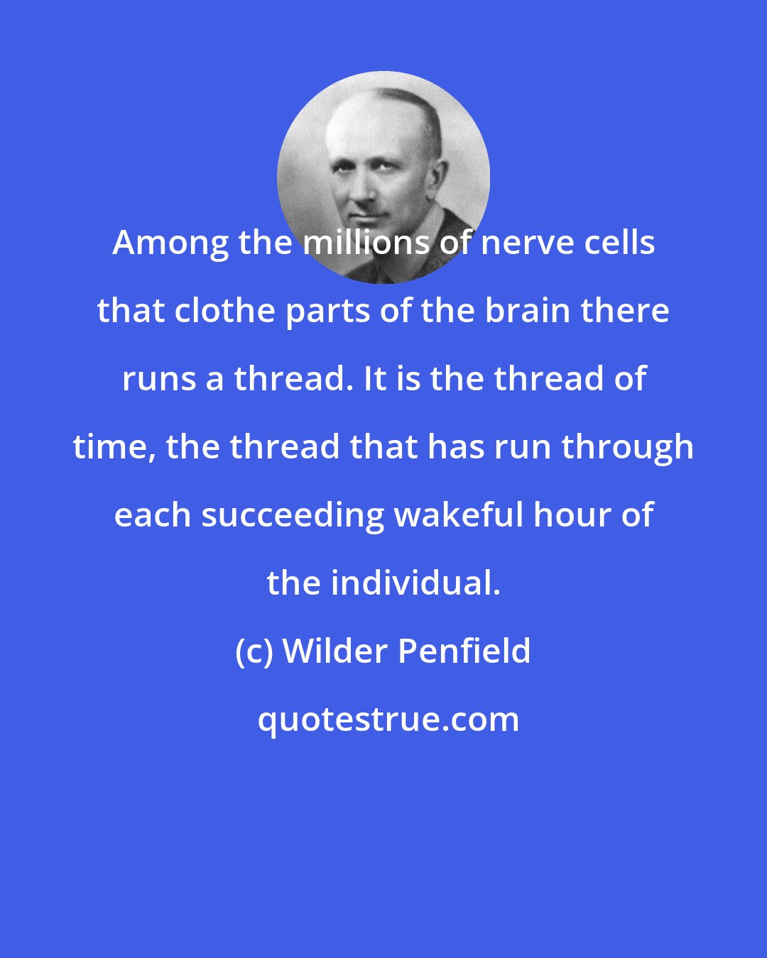 Wilder Penfield: Among the millions of nerve cells that clothe parts of the brain there runs a thread. It is the thread of time, the thread that has run through each succeeding wakeful hour of the individual.