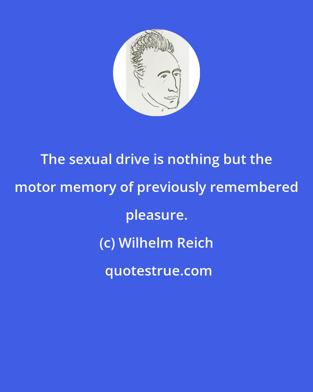 Wilhelm Reich: The sexual drive is nothing but the motor memory of previously remembered pleasure.