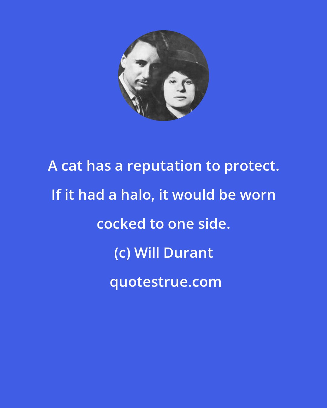 Will Durant: A cat has a reputation to protect. If it had a halo, it would be worn cocked to one side.