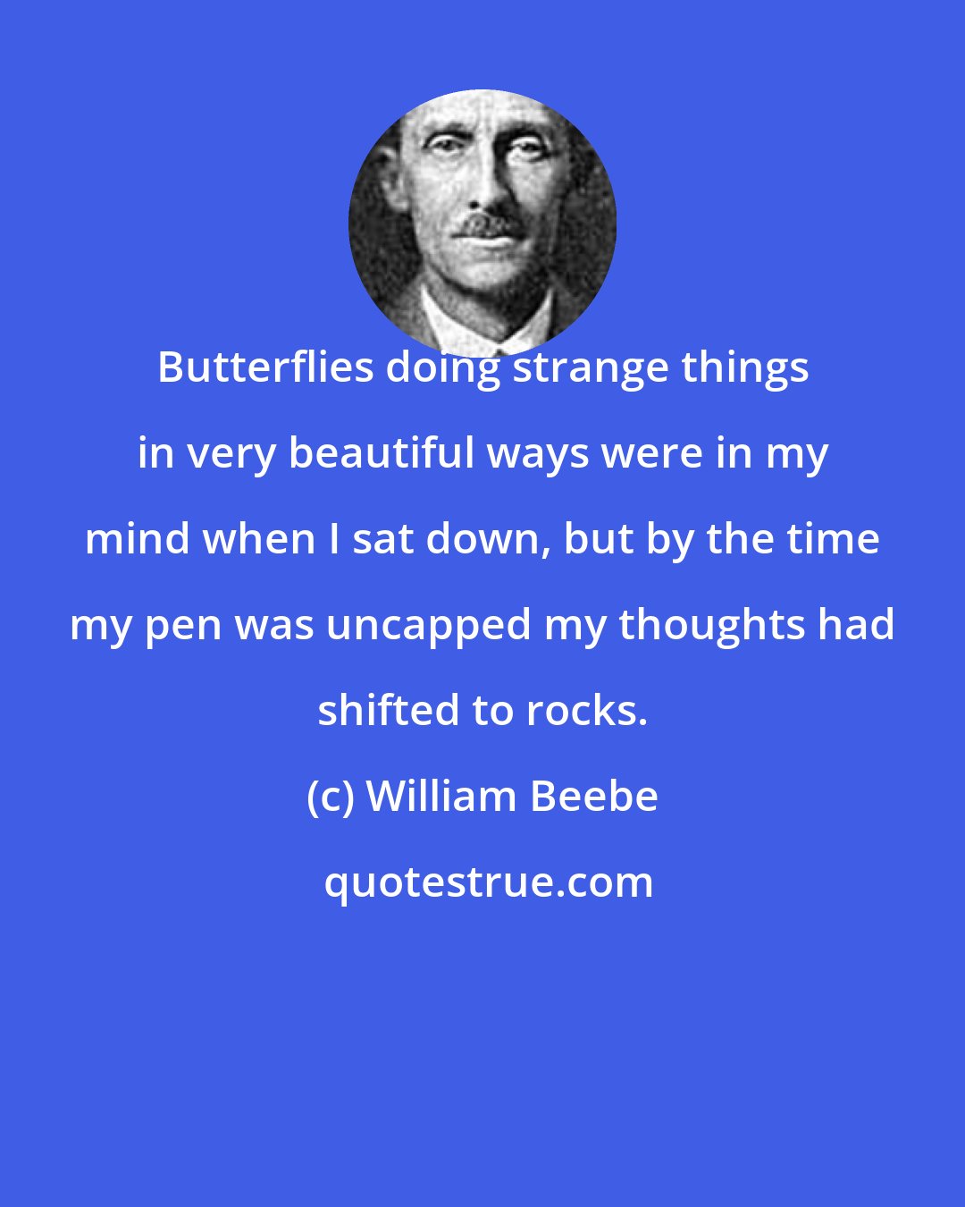 William Beebe: Butterflies doing strange things in very beautiful ways were in my mind when I sat down, but by the time my pen was uncapped my thoughts had shifted to rocks.