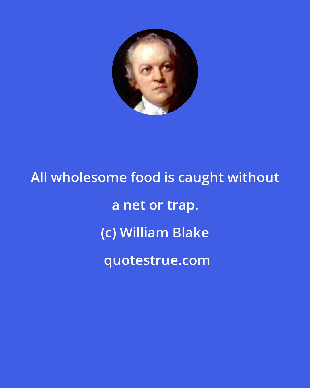 William Blake: All wholesome food is caught without a net or trap.