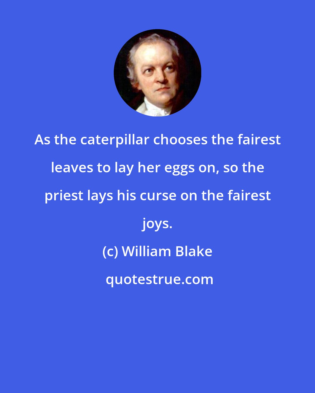 William Blake: As the caterpillar chooses the fairest leaves to lay her eggs on, so the priest lays his curse on the fairest joys.