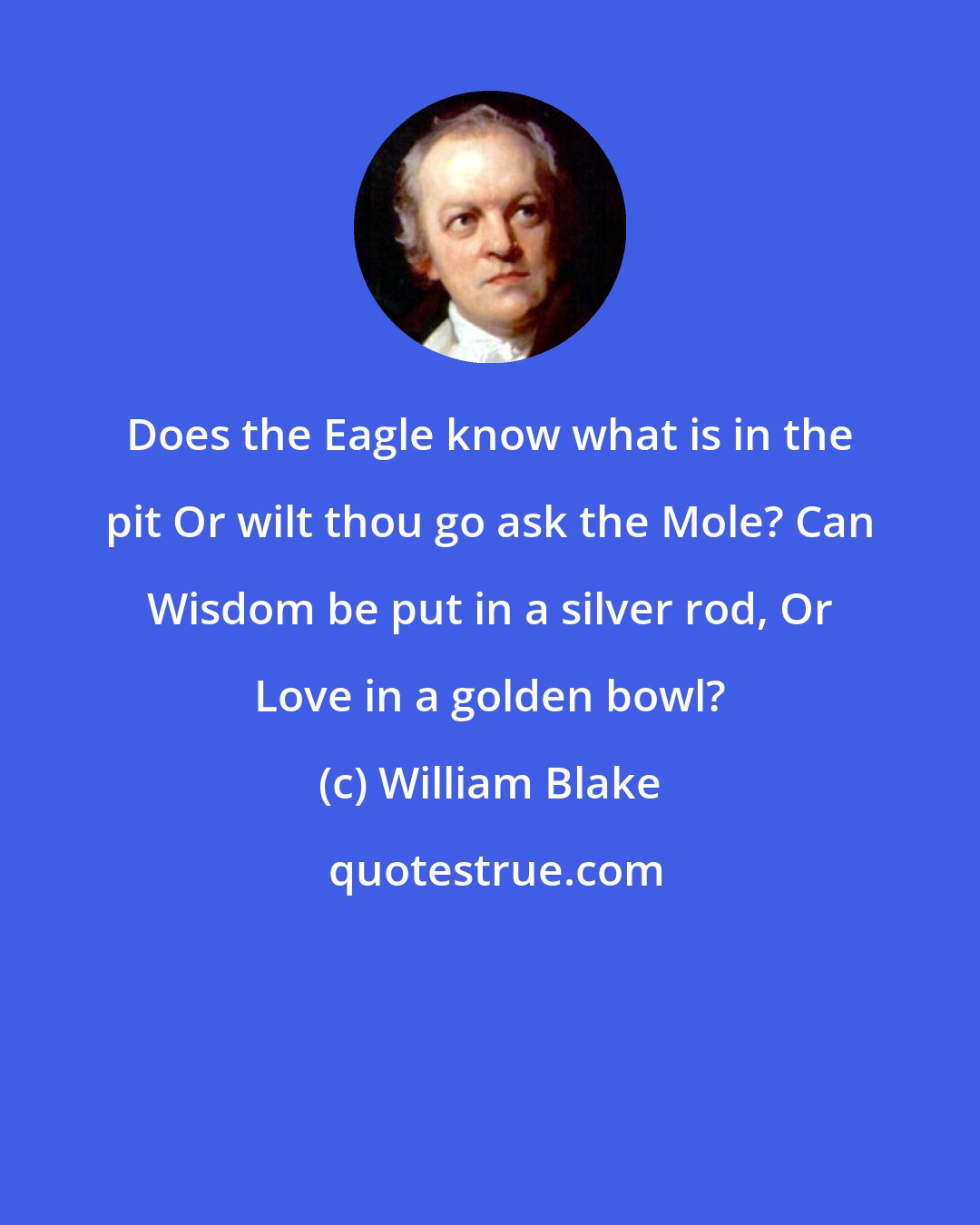 William Blake: Does the Eagle know what is in the pit Or wilt thou go ask the Mole? Can Wisdom be put in a silver rod, Or Love in a golden bowl?