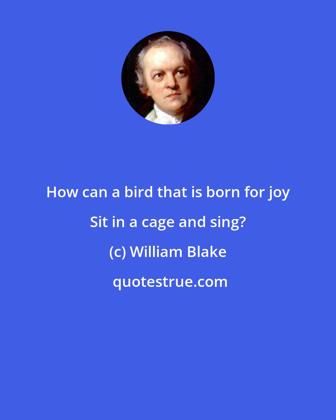 William Blake: How can a bird that is born for joy Sit in a cage and sing?