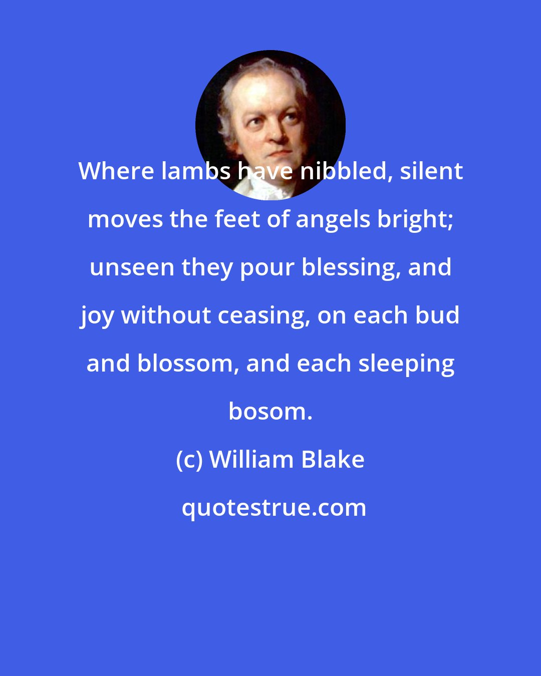 William Blake: Where lambs have nibbled, silent moves the feet of angels bright; unseen they pour blessing, and joy without ceasing, on each bud and blossom, and each sleeping bosom.