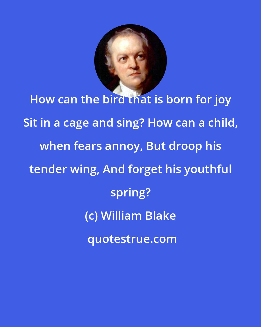 William Blake: How can the bird that is born for joy Sit in a cage and sing? How can a child, when fears annoy, But droop his tender wing, And forget his youthful spring?