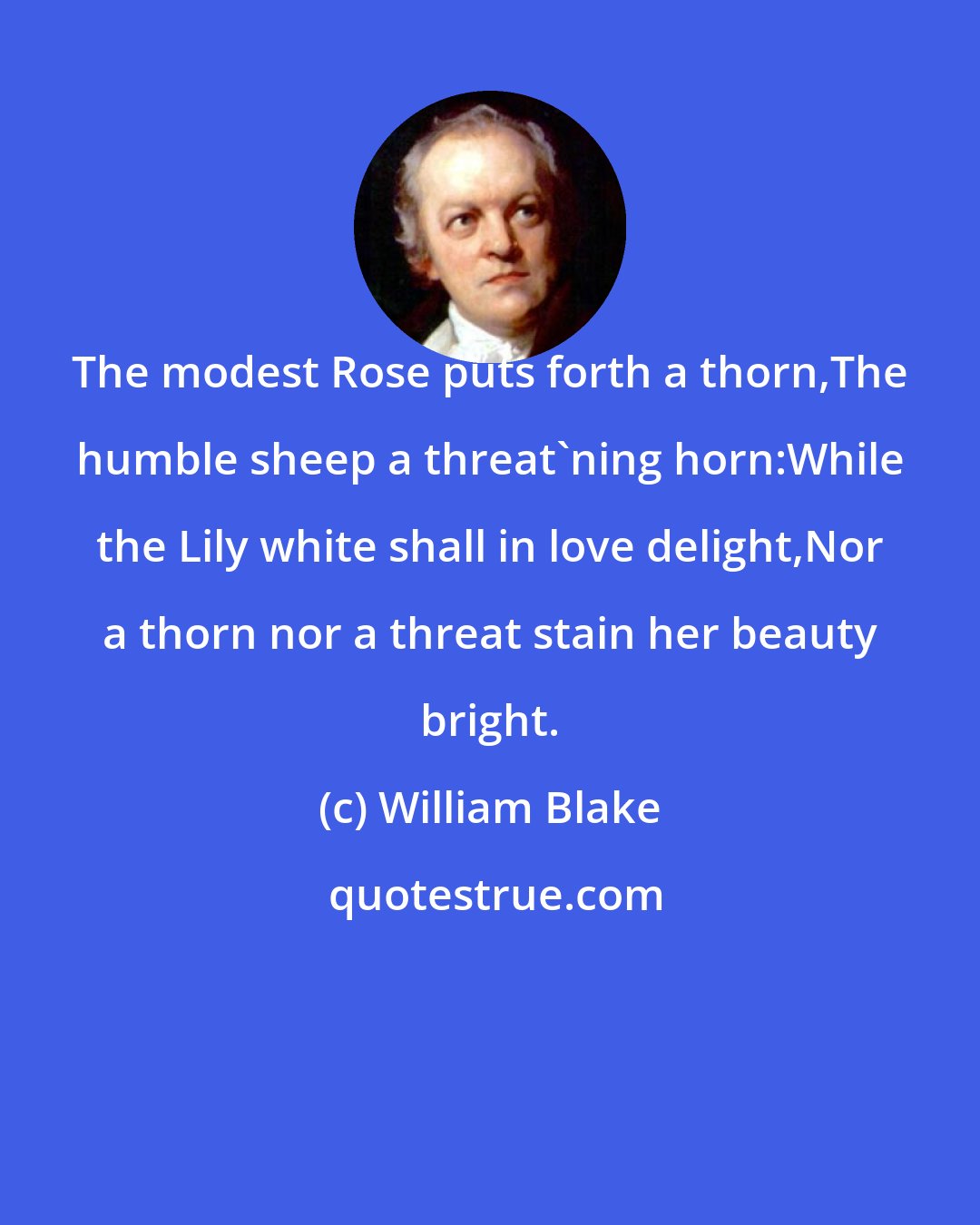 William Blake: The modest Rose puts forth a thorn,The humble sheep a threat'ning horn:While the Lily white shall in love delight,Nor a thorn nor a threat stain her beauty bright.