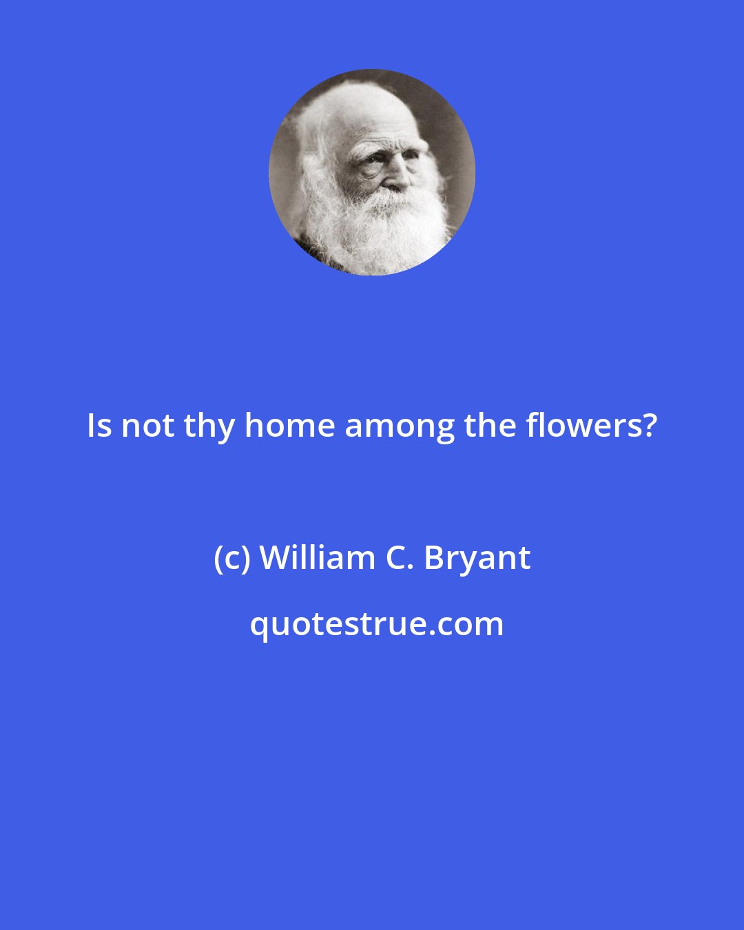 William C. Bryant: Is not thy home among the flowers?
