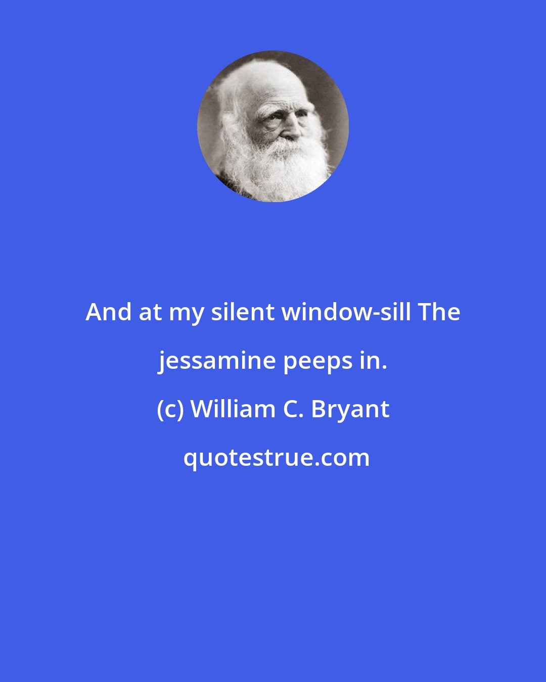 William C. Bryant: And at my silent window-sill The jessamine peeps in.