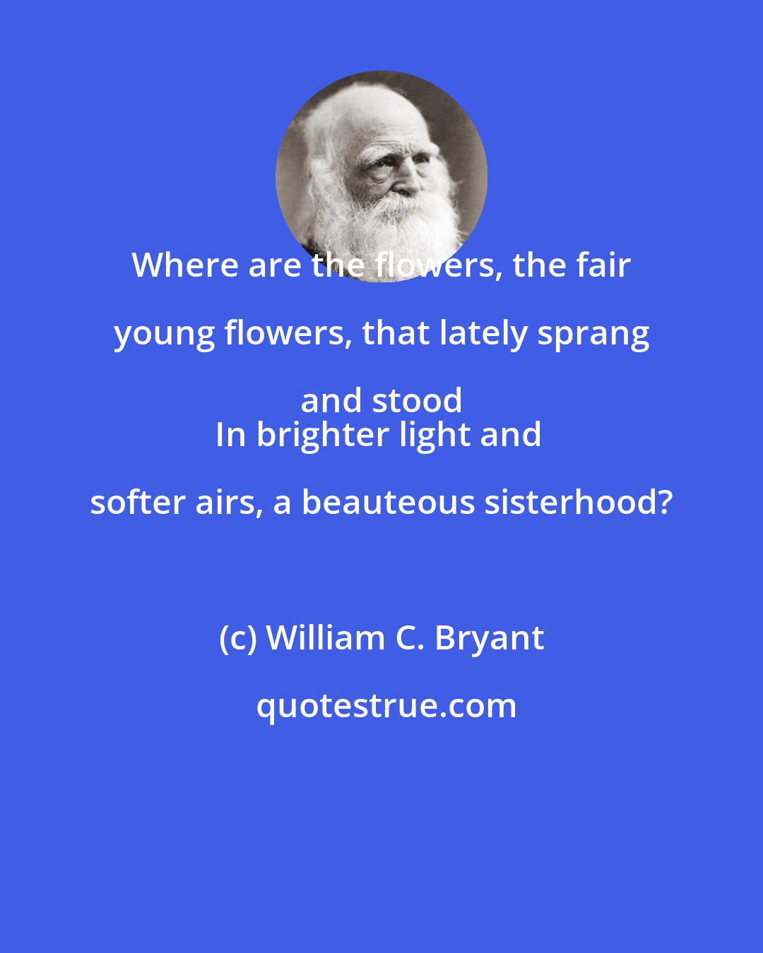William C. Bryant: Where are the flowers, the fair young flowers, that lately sprang and stood 
In brighter light and softer airs, a beauteous sisterhood?