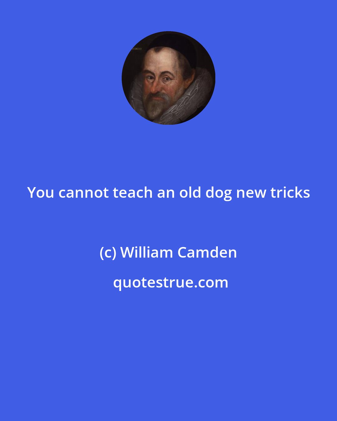 William Camden: You cannot teach an old dog new tricks