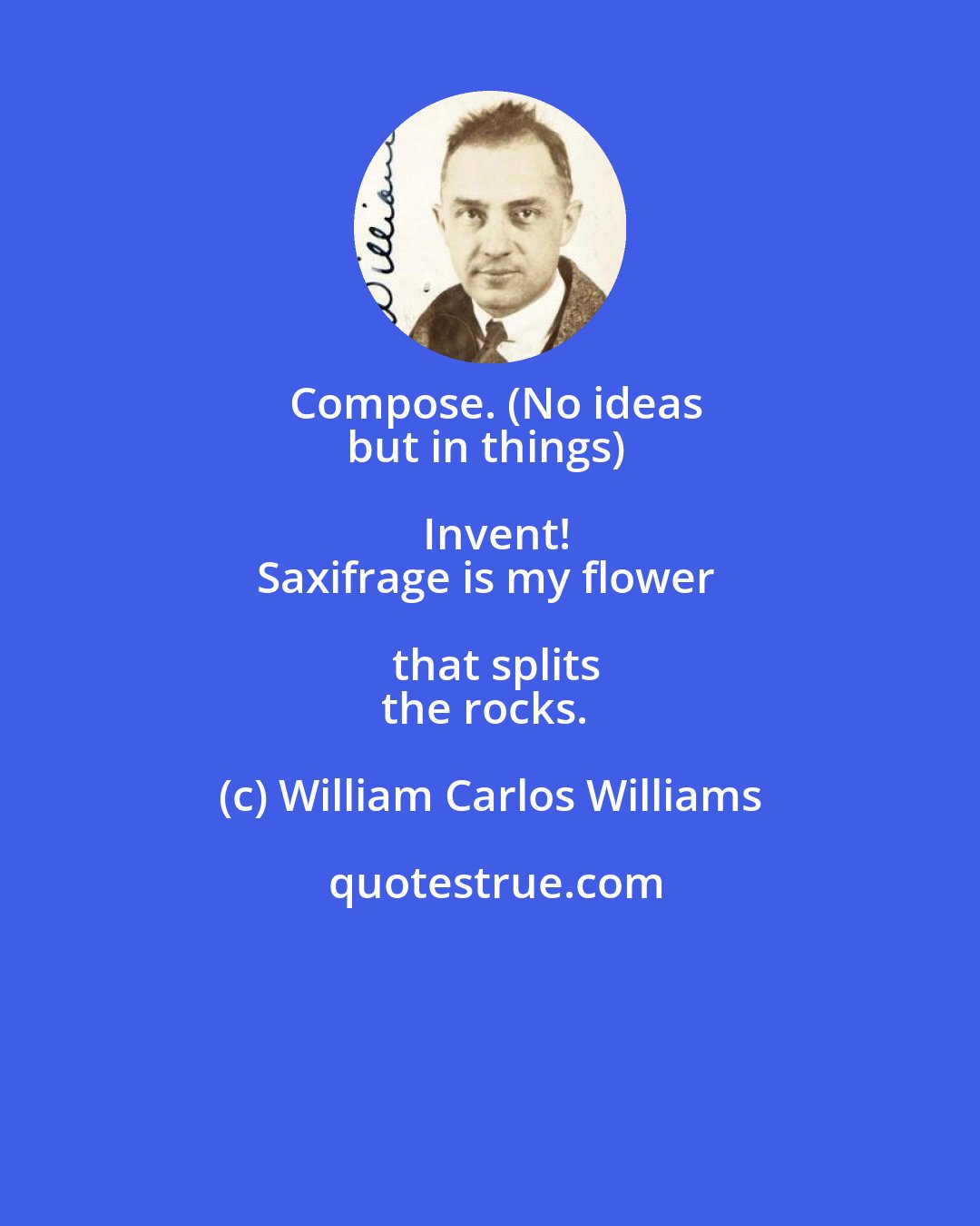 William Carlos Williams: Compose. (No ideas
but in things) Invent!
Saxifrage is my flower that splits
the rocks.