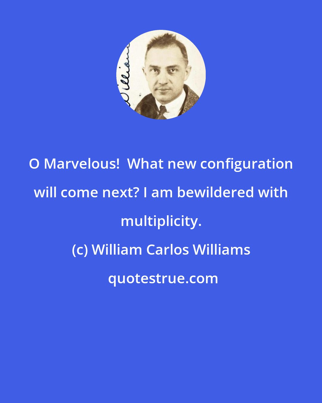 William Carlos Williams: O Marvelous!  What new configuration will come next? I am bewildered with multiplicity.