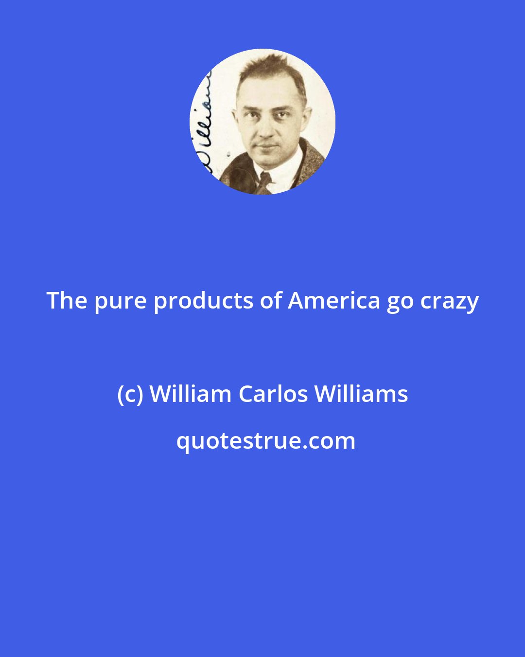 William Carlos Williams: The pure products of America go crazy