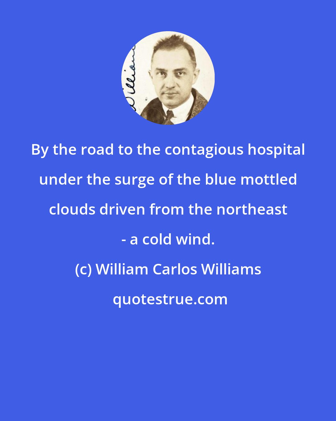 William Carlos Williams: By the road to the contagious hospital under the surge of the blue mottled clouds driven from the northeast - a cold wind.