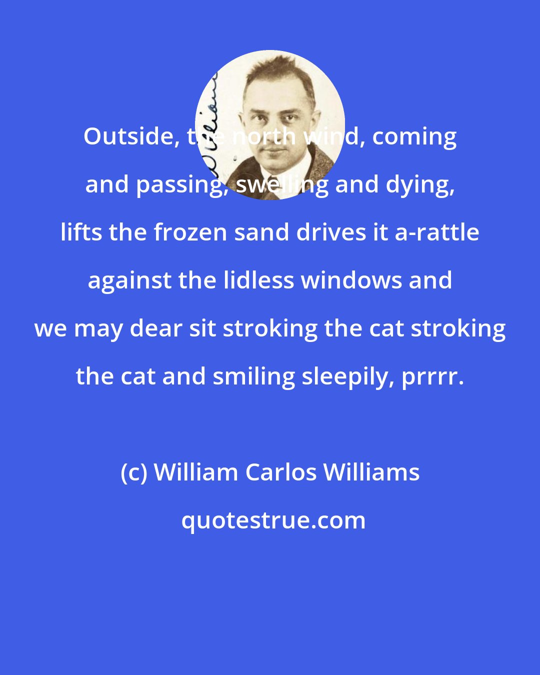 William Carlos Williams: Outside, the north wind, coming and passing, swelling and dying, lifts the frozen sand drives it a-rattle against the lidless windows and we may dear sit stroking the cat stroking the cat and smiling sleepily, prrrr.