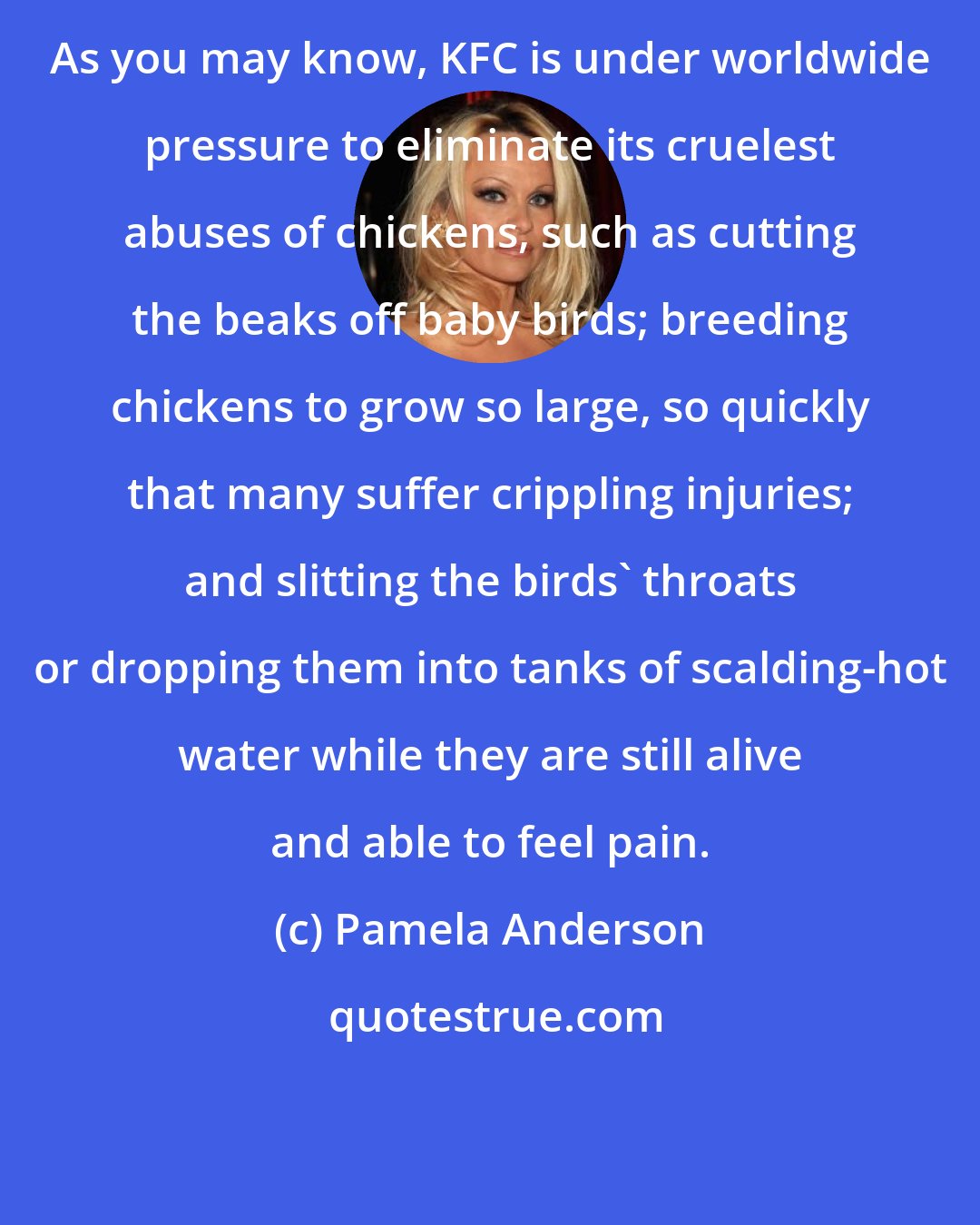 Pamela Anderson: As you may know, KFC is under worldwide pressure to eliminate its cruelest abuses of chickens, such as cutting the beaks off baby birds; breeding chickens to grow so large, so quickly that many suffer crippling injuries; and slitting the birds' throats or dropping them into tanks of scalding-hot water while they are still alive and able to feel pain.