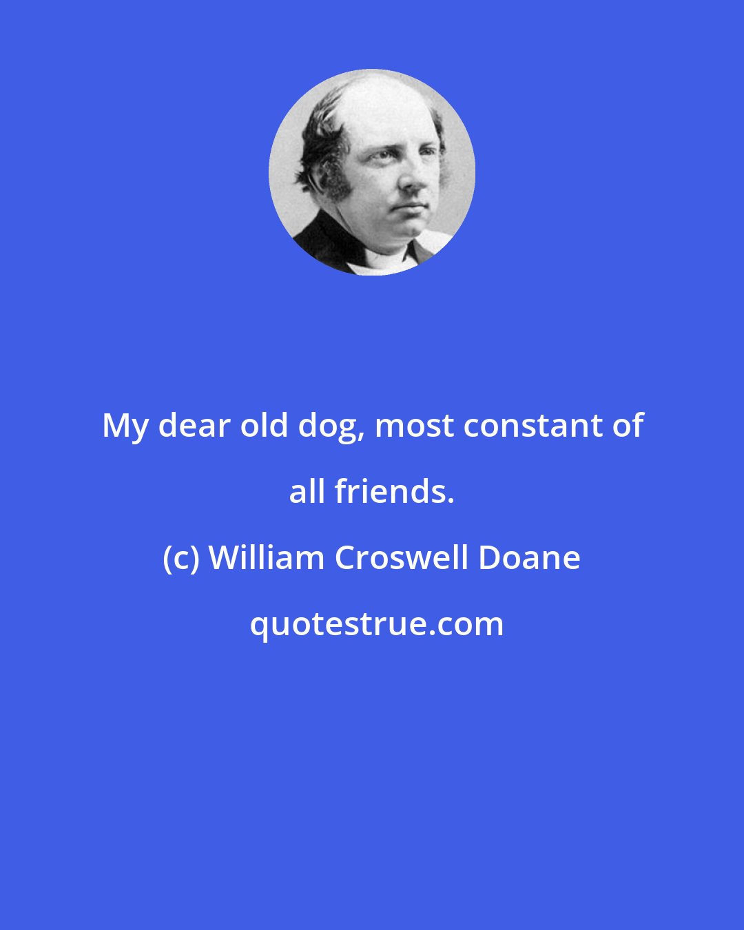 William Croswell Doane: My dear old dog, most constant of all friends.