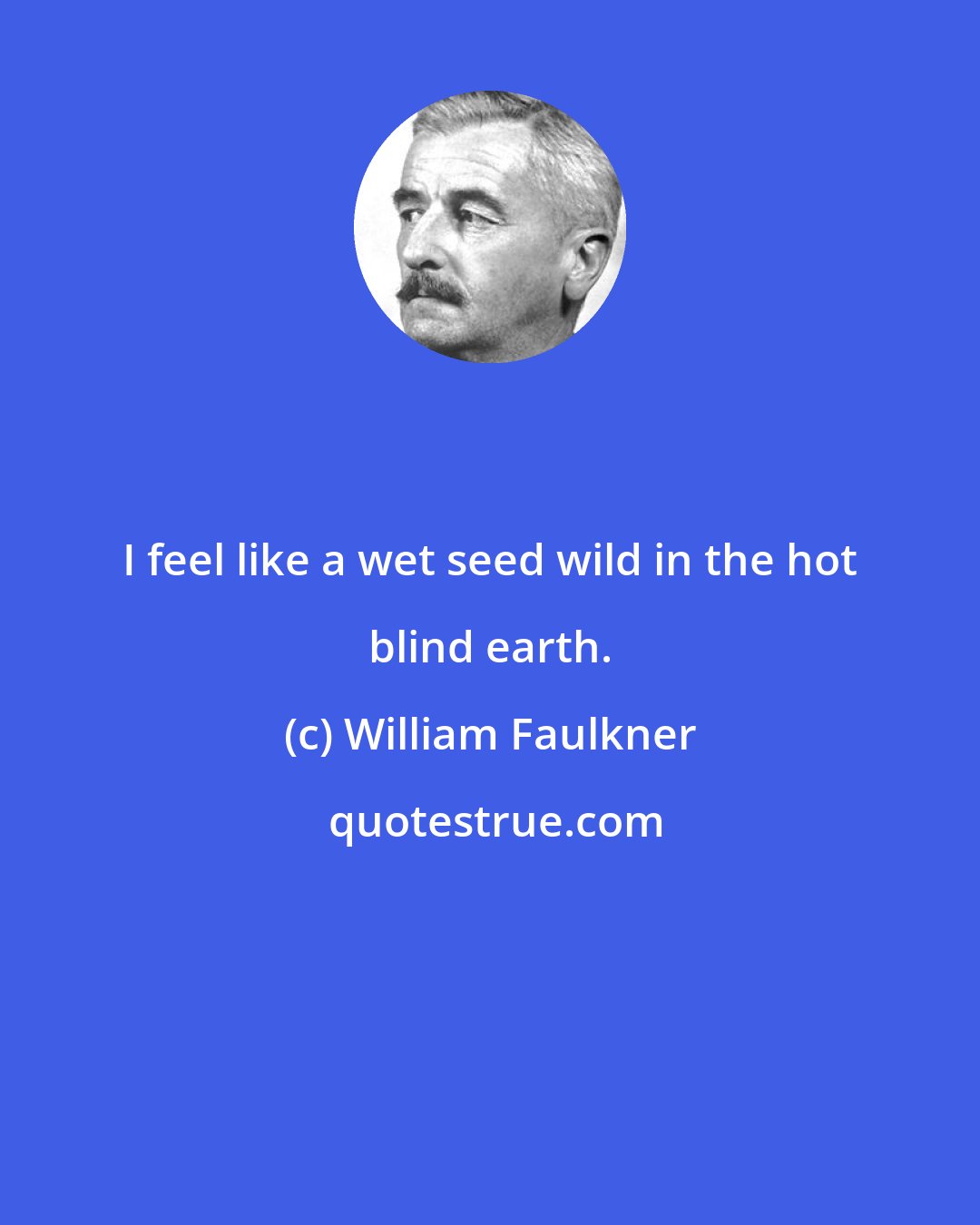 William Faulkner: I feel like a wet seed wild in the hot blind earth.