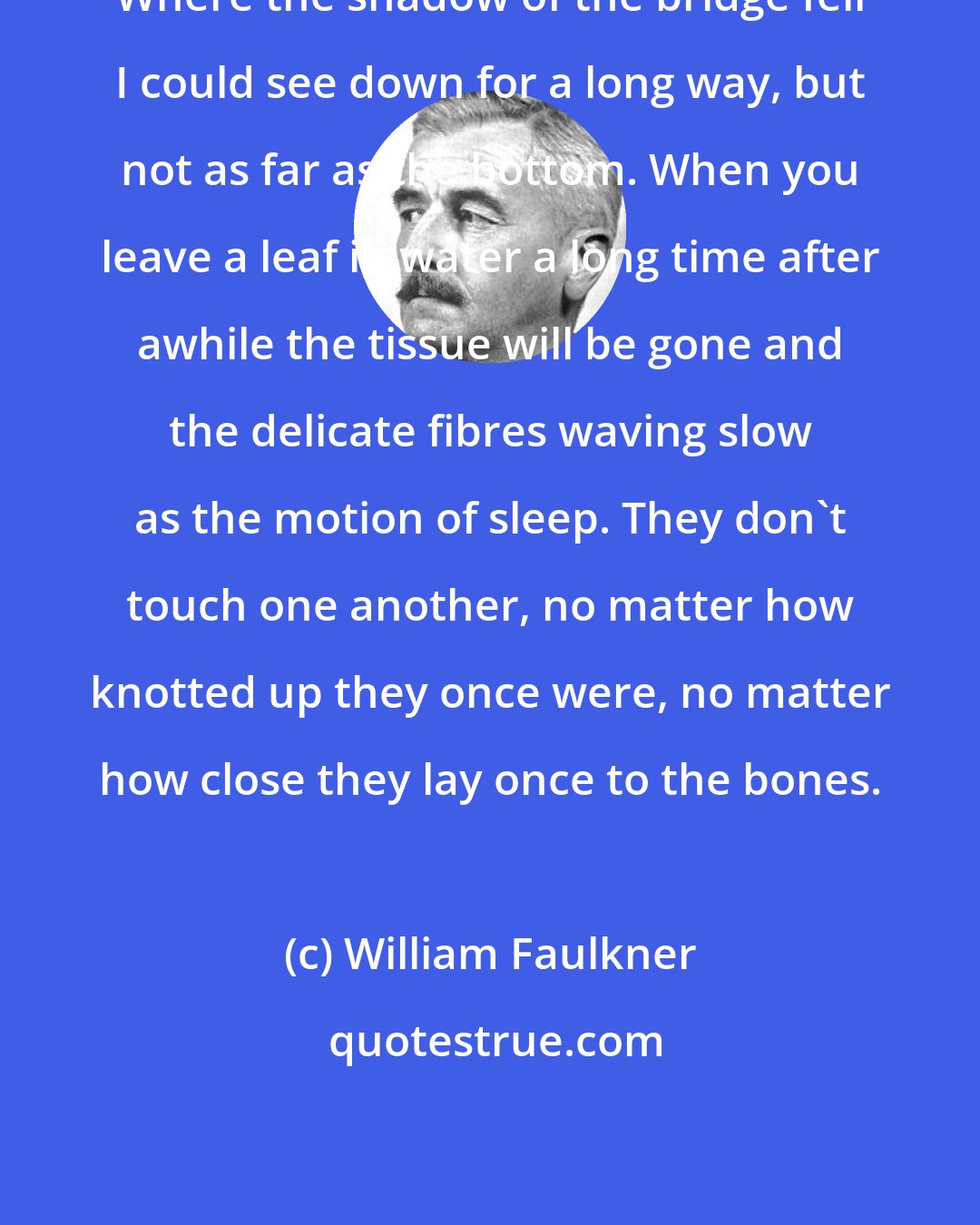 William Faulkner: Where the shadow of the bridge fell I could see down for a long way, but not as far as the bottom. When you leave a leaf in water a long time after awhile the tissue will be gone and the delicate fibres waving slow as the motion of sleep. They don't touch one another, no matter how knotted up they once were, no matter how close they lay once to the bones.