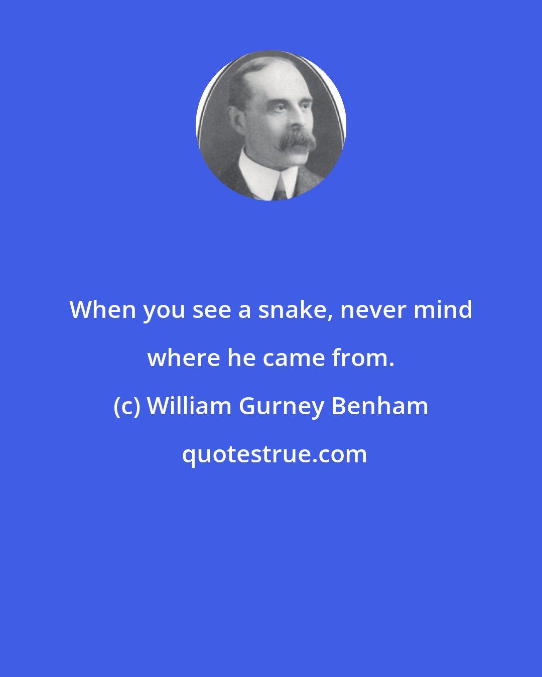 William Gurney Benham: When you see a snake, never mind where he came from.