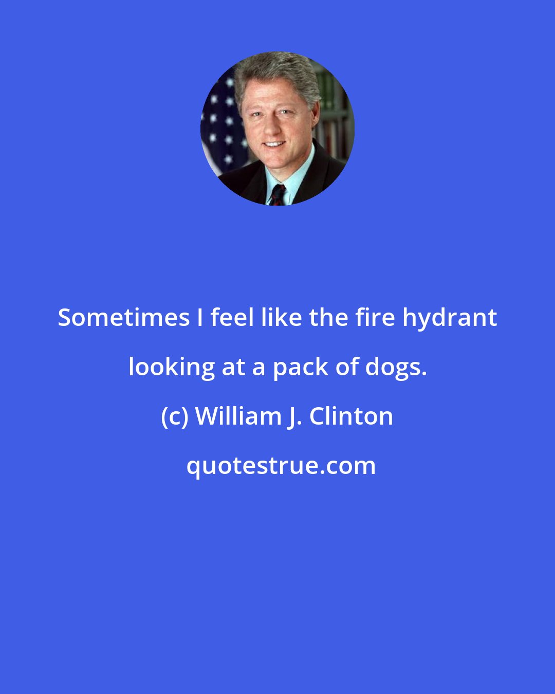 William J. Clinton: Sometimes I feel like the fire hydrant looking at a pack of dogs.