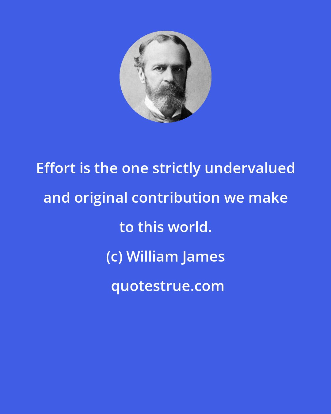 William James: Effort is the one strictly undervalued and original contribution we make to this world.