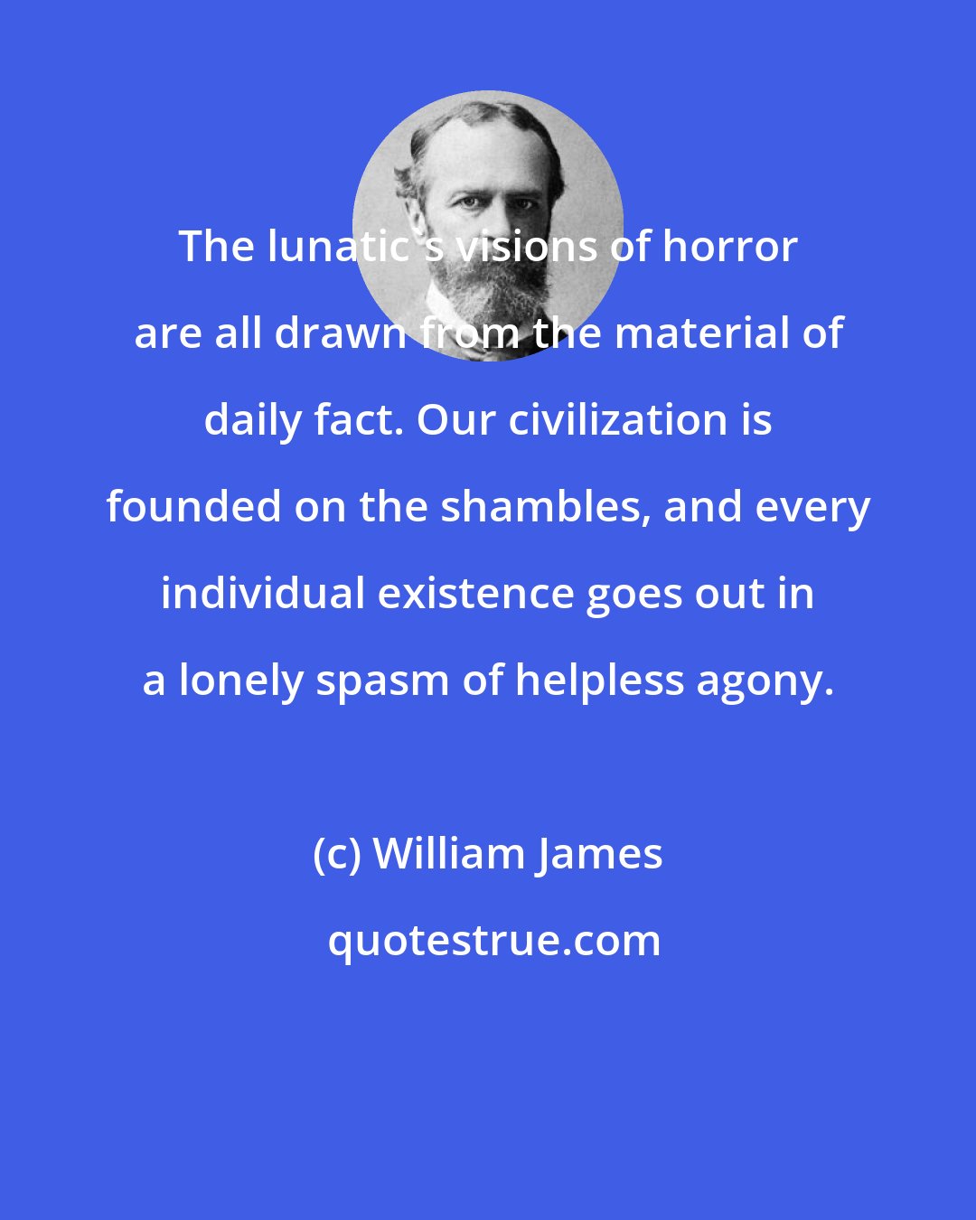 William James: The lunatic's visions of horror are all drawn from the material of daily fact. Our civilization is founded on the shambles, and every individual existence goes out in a lonely spasm of helpless agony.