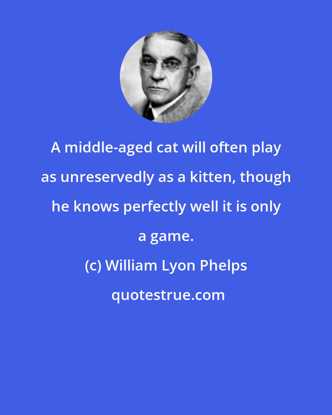 William Lyon Phelps: A middle-aged cat will often play as unreservedly as a kitten, though he knows perfectly well it is only a game.