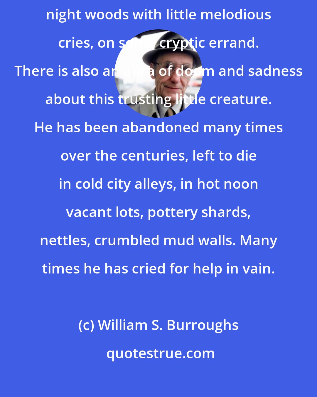 William S. Burroughs: His whole being radiates a pure, wild sweetness, flitting through night woods with little melodious cries, on some cryptic errand. There is also an aura of doom and sadness about this trusting little creature. He has been abandoned many times over the centuries, left to die in cold city alleys, in hot noon vacant lots, pottery shards, nettles, crumbled mud walls. Many times he has cried for help in vain.
