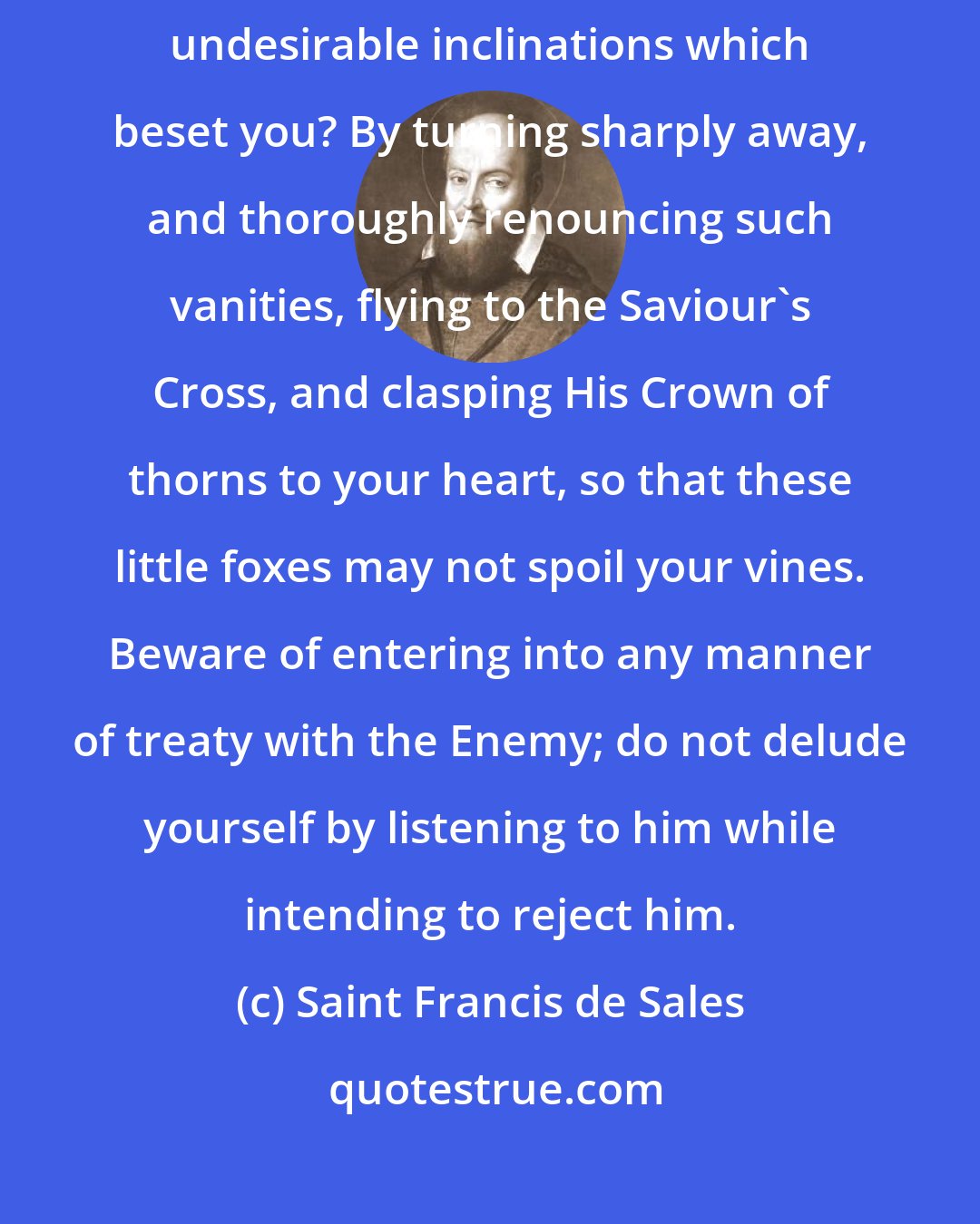 Saint Francis de Sales: How are you to meet the swarm of foolish attachments, triflings, and undesirable inclinations which beset you? By turning sharply away, and thoroughly renouncing such vanities, flying to the Saviour's Cross, and clasping His Crown of thorns to your heart, so that these little foxes may not spoil your vines. Beware of entering into any manner of treaty with the Enemy; do not delude yourself by listening to him while intending to reject him.