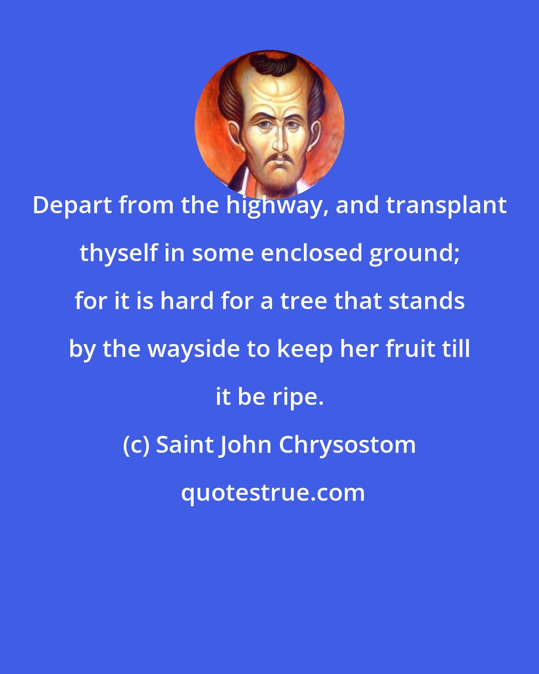 Saint John Chrysostom: Depart from the highway, and transplant thyself in some enclosed ground; for it is hard for a tree that stands by the wayside to keep her fruit till it be ripe.