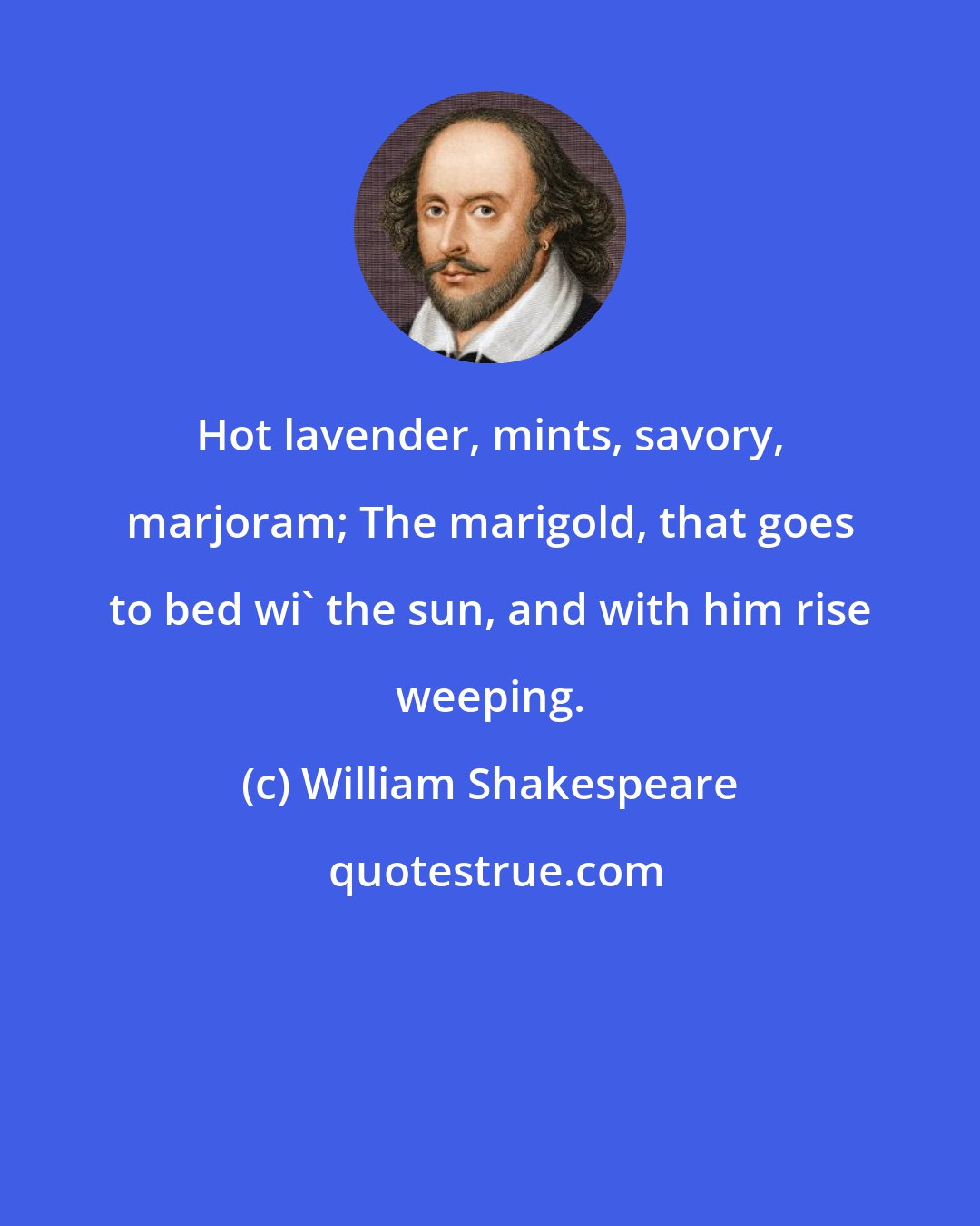 William Shakespeare: Hot lavender, mints, savory, marjoram; The marigold, that goes to bed wi' the sun, and with him rise weeping.