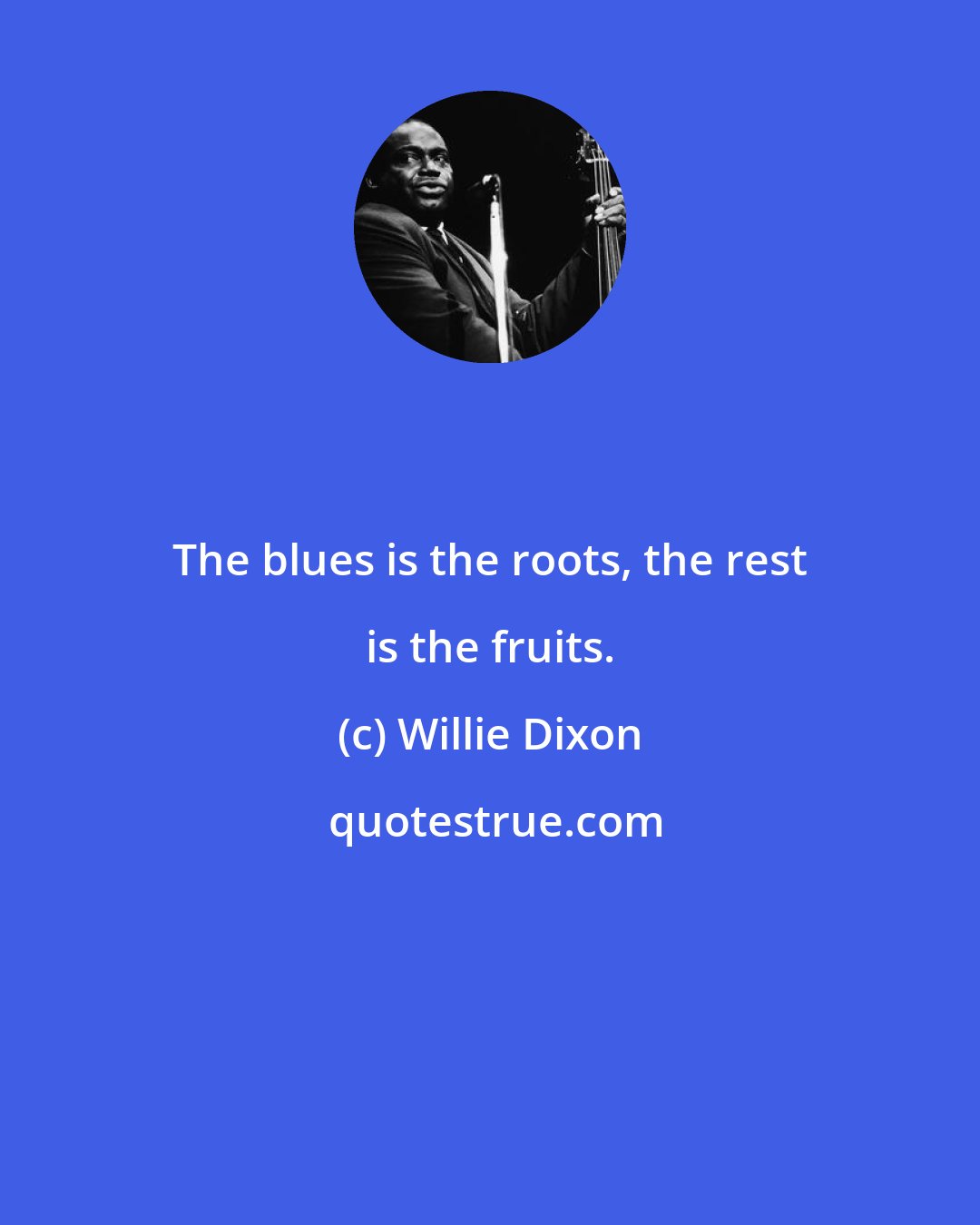 Willie Dixon: The blues is the roots, the rest is the fruits.