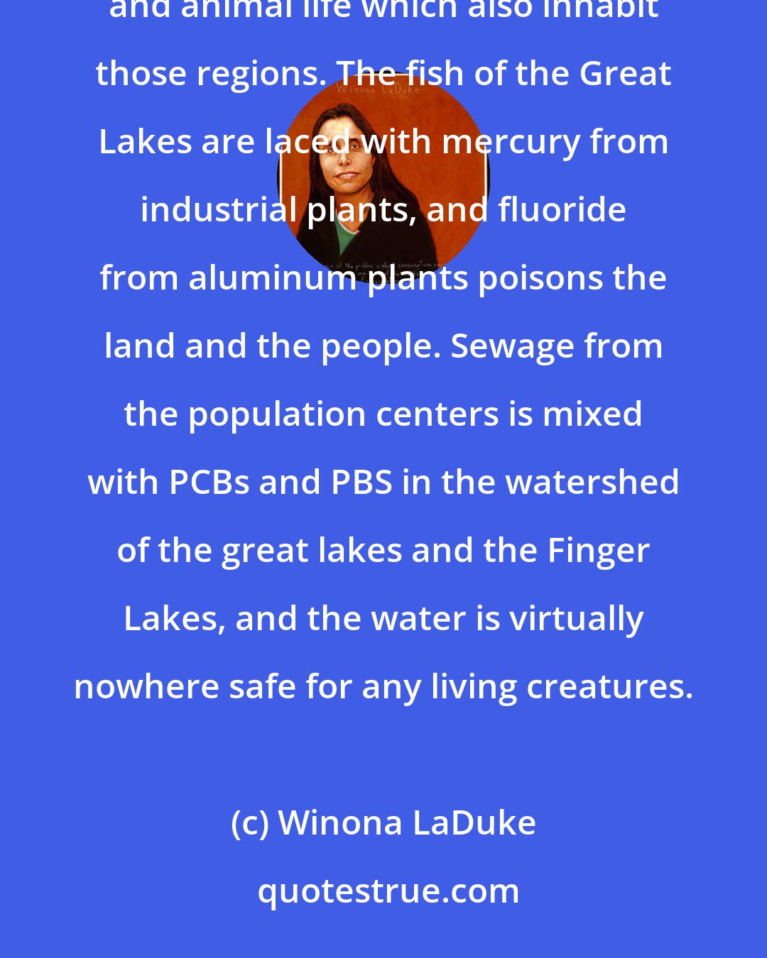 Winona LaDuke: The insecticides kill the black flies, but also destroy much of the food chain for the bird, fish, and animal life which also inhabit those regions. The fish of the Great Lakes are laced with mercury from industrial plants, and fluoride from aluminum plants poisons the land and the people. Sewage from the population centers is mixed with PCBs and PBS in the watershed of the great lakes and the Finger Lakes, and the water is virtually nowhere safe for any living creatures.