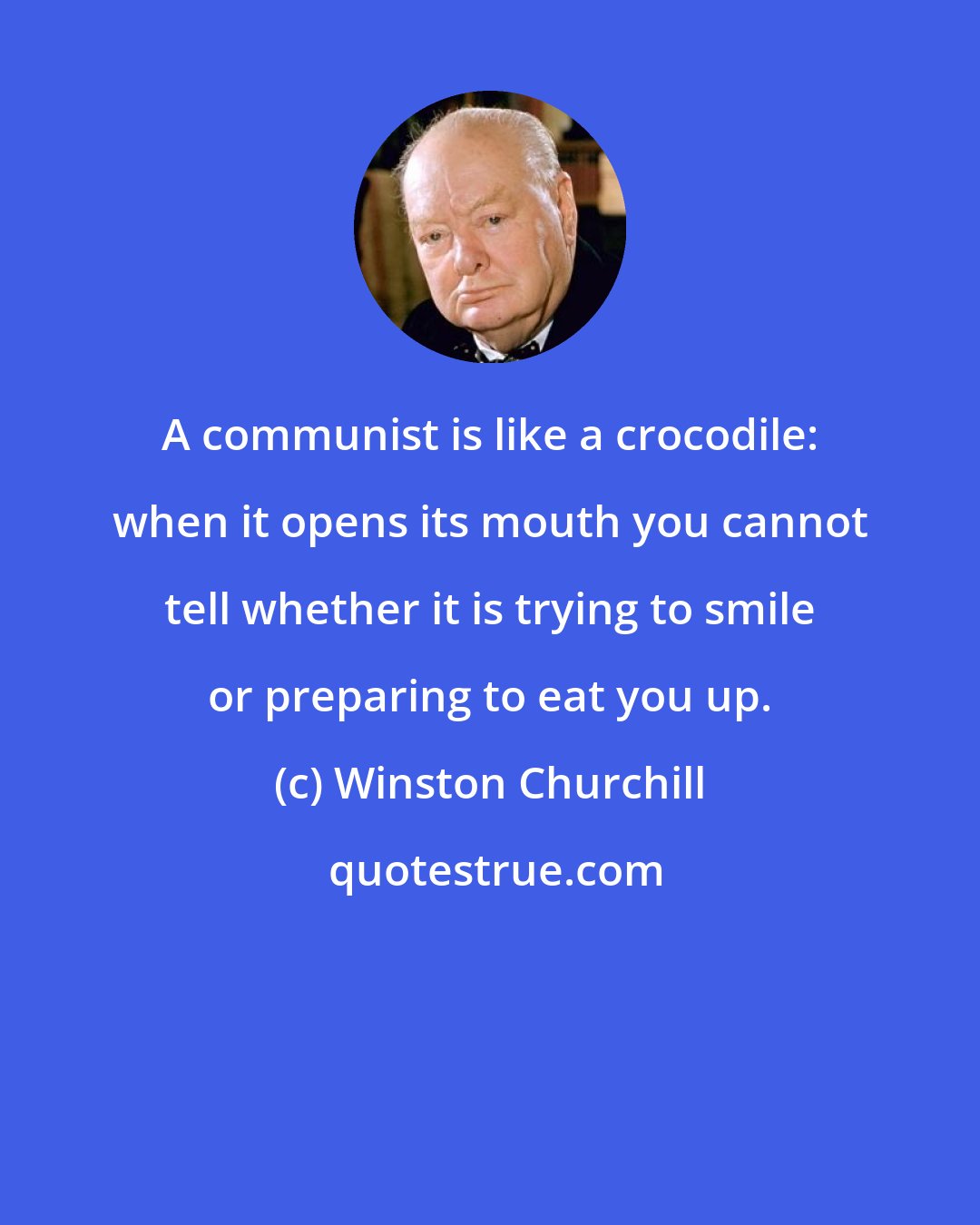 Winston Churchill: A communist is like a crocodile: when it opens its mouth you cannot tell whether it is trying to smile or preparing to eat you up.