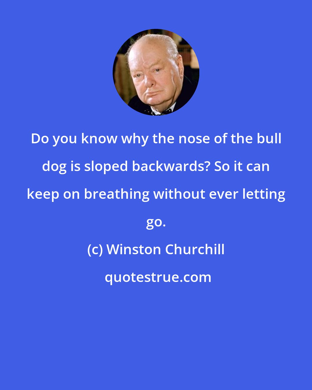 Winston Churchill: Do you know why the nose of the bull dog is sloped backwards? So it can keep on breathing without ever letting go.