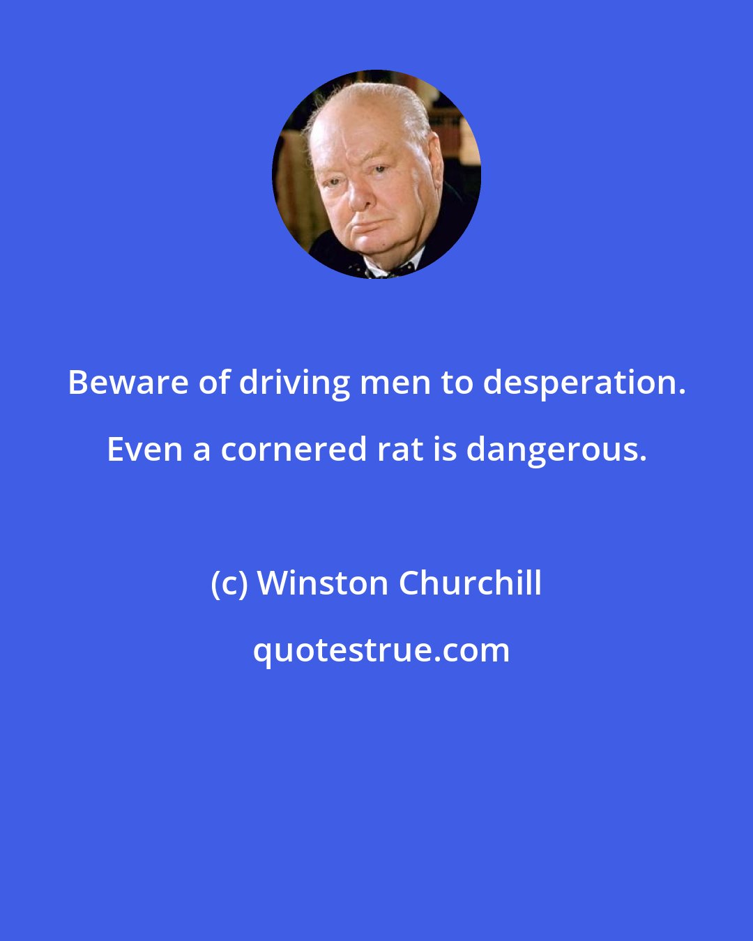 Winston Churchill: Beware of driving men to desperation. Even a cornered rat is dangerous.