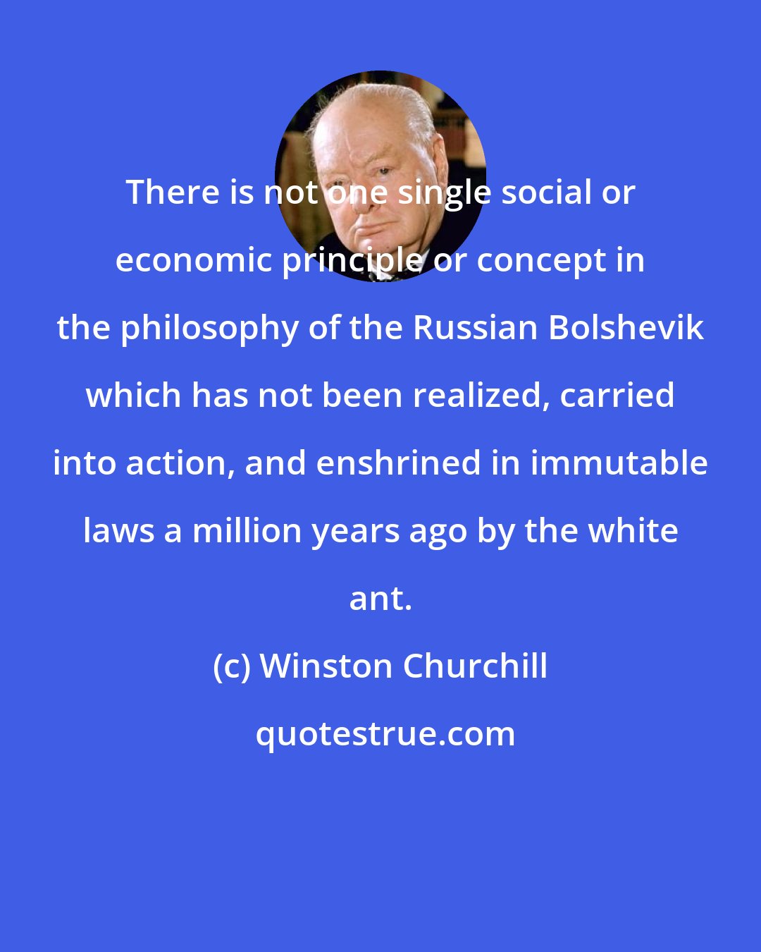 Winston Churchill: There is not one single social or economic principle or concept in the philosophy of the Russian Bolshevik which has not been realized, carried into action, and enshrined in immutable laws a million years ago by the white ant.