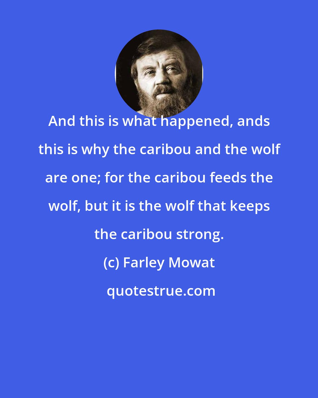 Farley Mowat: And this is what happened, ands this is why the caribou and the wolf are one; for the caribou feeds the wolf, but it is the wolf that keeps the caribou strong.