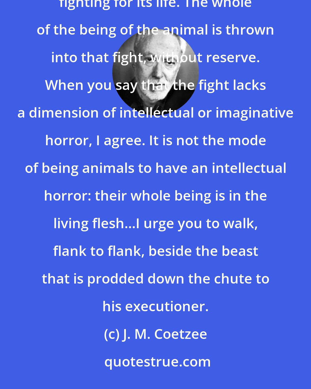 J. M. Coetzee: Anyone who says that life matters less to an animal than it does to us has not held in his hands an animal fighting for its life. The whole of the being of the animal is thrown into that fight, without reserve. When you say that the fight lacks a dimension of intellectual or imaginative horror, I agree. It is not the mode of being animals to have an intellectual horror: their whole being is in the living flesh...I urge you to walk, flank to flank, beside the beast that is prodded down the chute to his executioner.