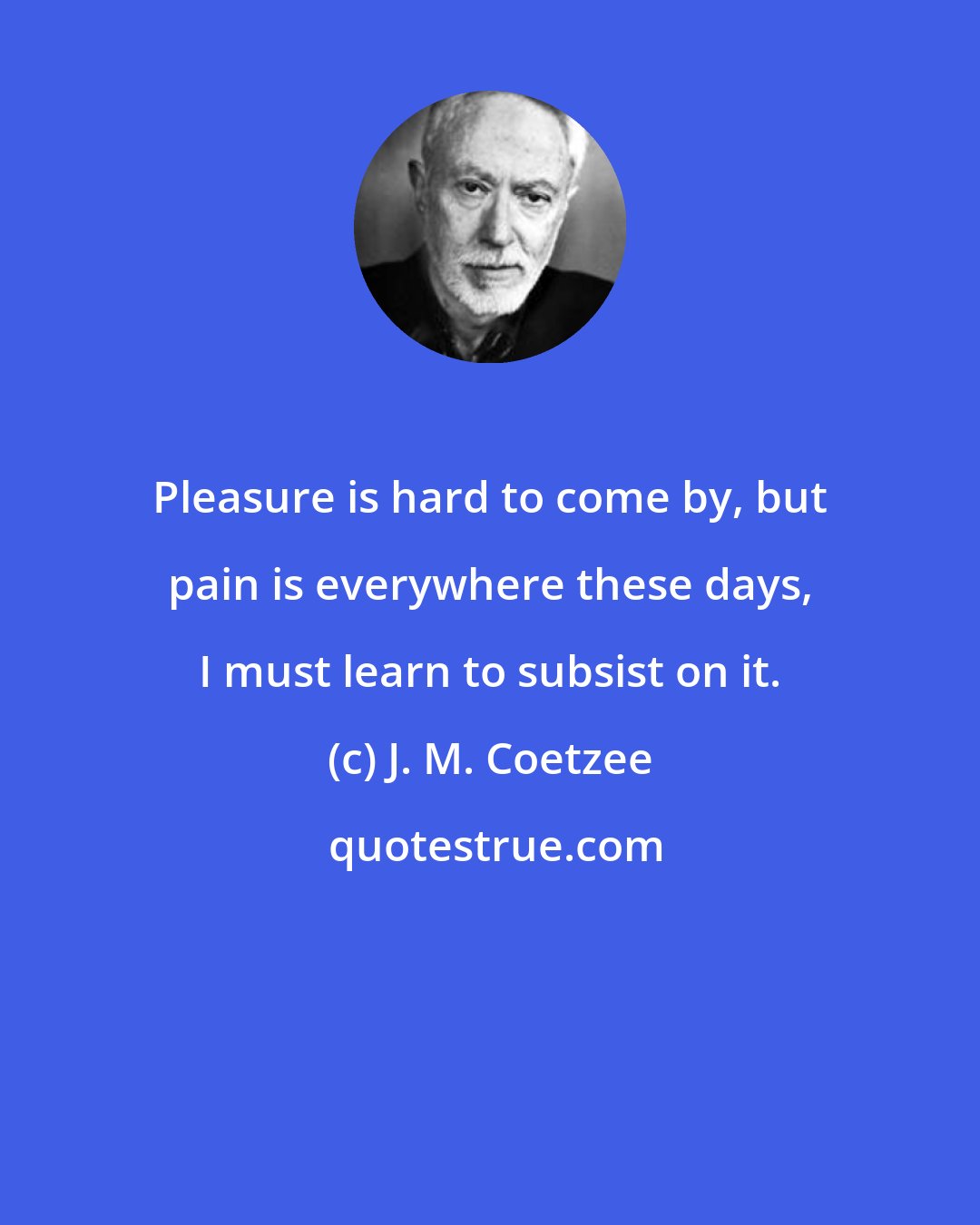 J. M. Coetzee: Pleasure is hard to come by, but pain is everywhere these days, I must learn to subsist on it.