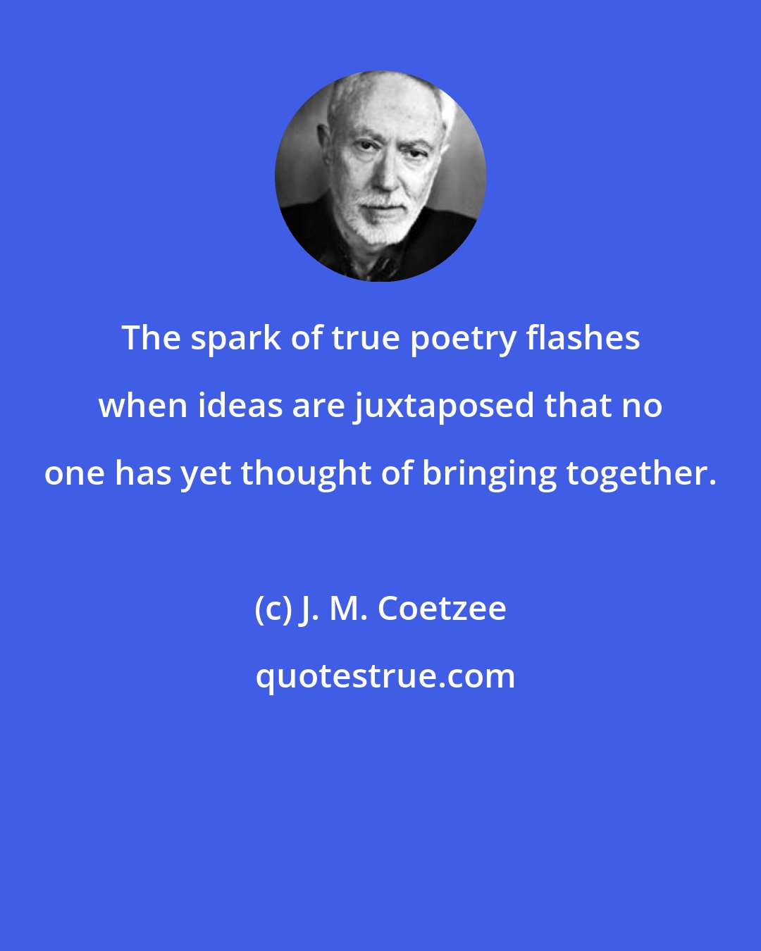 J. M. Coetzee: The spark of true poetry flashes when ideas are juxtaposed that no one has yet thought of bringing together.