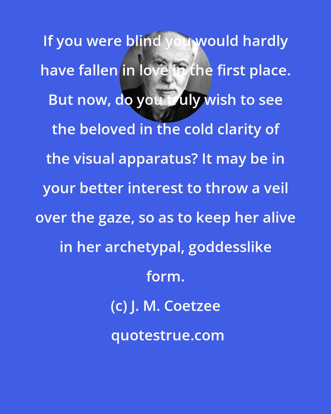 J. M. Coetzee: If you were blind you would hardly have fallen in love in the first place. But now, do you truly wish to see the beloved in the cold clarity of the visual apparatus? It may be in your better interest to throw a veil over the gaze, so as to keep her alive in her archetypal, goddesslike form.